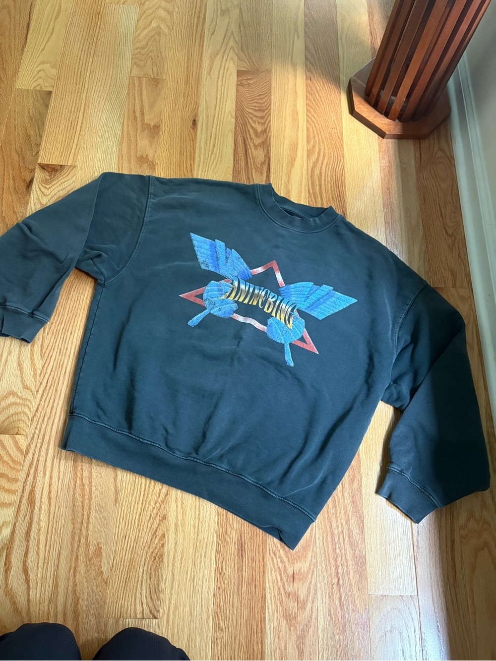 Anine Bing sweatshirt